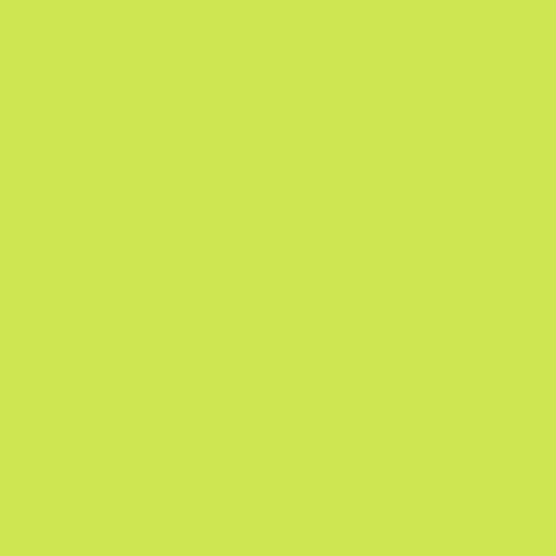 Tula Pink Solids - Limeade - Citrus Green