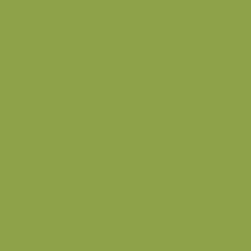 Tula Pink Solids - Dragon's Breath - Matcha - Olive Green