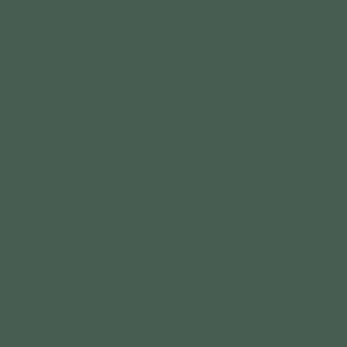 Tula Pink Solids - Dragon's Breath - Shire - Dark Greyish Green