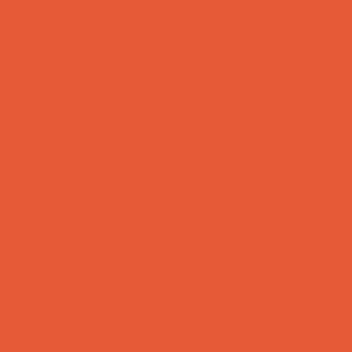 Tula Pink Solids - Dragon's Breath - Snapdragon - Orange