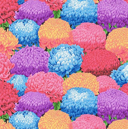 Temple Garden - Chrysanthemum Bed - Multi - packed chrysanthemums on black