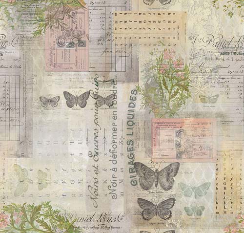 Foundations - Botanical - Multi - collage backgrd with botanicals by Tim Holtz