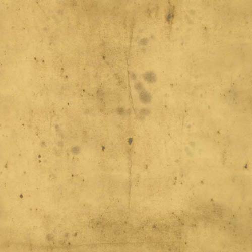Provisions - Amber - shades of golden brown with speckles by Tim Holtz