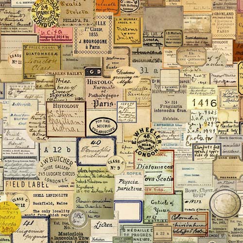 Eclectic Elements - Laboratory-Curator-Multi - packed labels, etc.- Tim Holtz