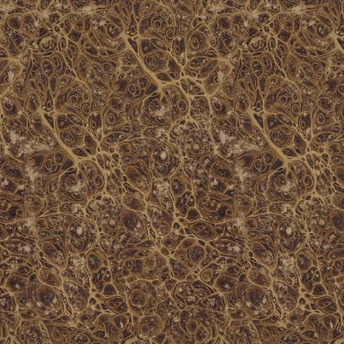 Tim Holtz Palette Neutral - Marble -  brown marble