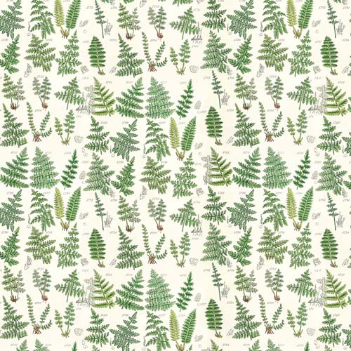 Tim Holtz Palette Green - Ferns -  ferns on cream