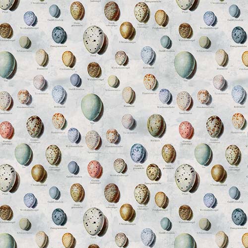 Tim Holtz Palette Blue - Eggs- bird egg catalog