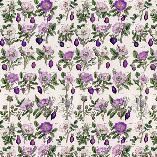 Tim Holtz Palette Purple - Botanical - purple flowers on cream