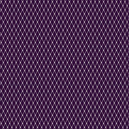 Nightshade Deja Vu - Fishnet - Equinox - white fishnet on black by Tula Pink