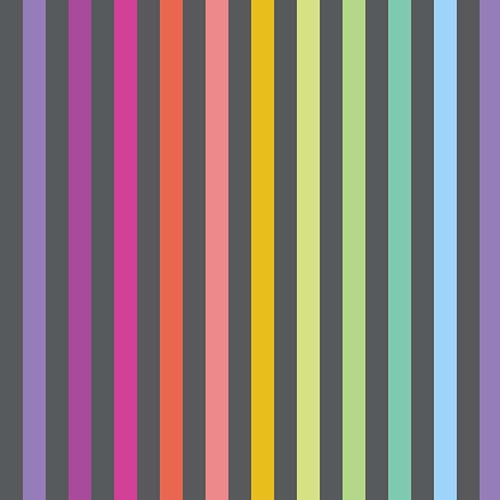 Tula's True Colors - Disco Stripe - Carbon- rainbow stripe on dk gray-Tula Pink