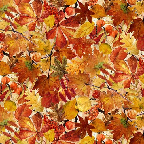Autumn Celebration - Fall Foliage - packed colorful leaves - Jason Yenter