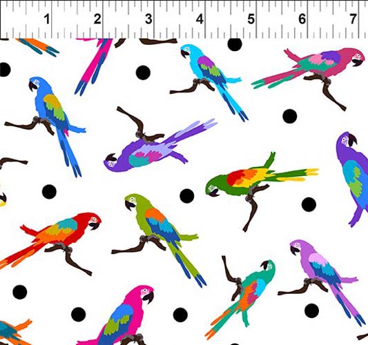 Colorful - Parrots on White