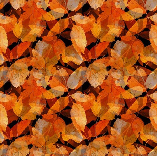 Reflections of Autumn - PackedLeaves on Black - bright leaves on black