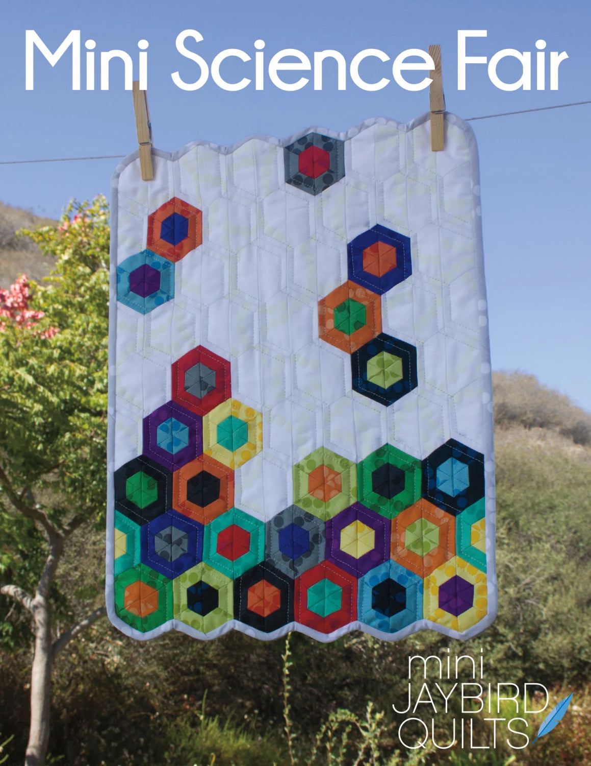 Mini Science Fair pattern - Jaybird Quilts