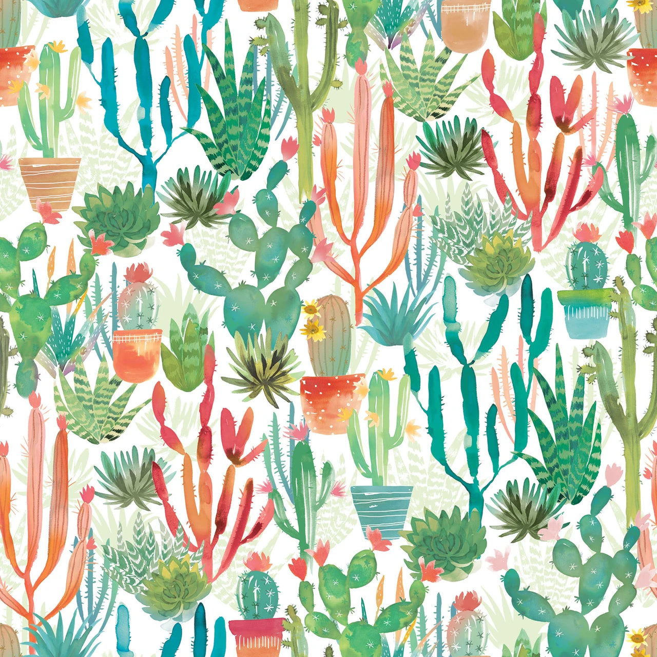 Desert Dreams - Cactus - Multi - colorful cactus on white