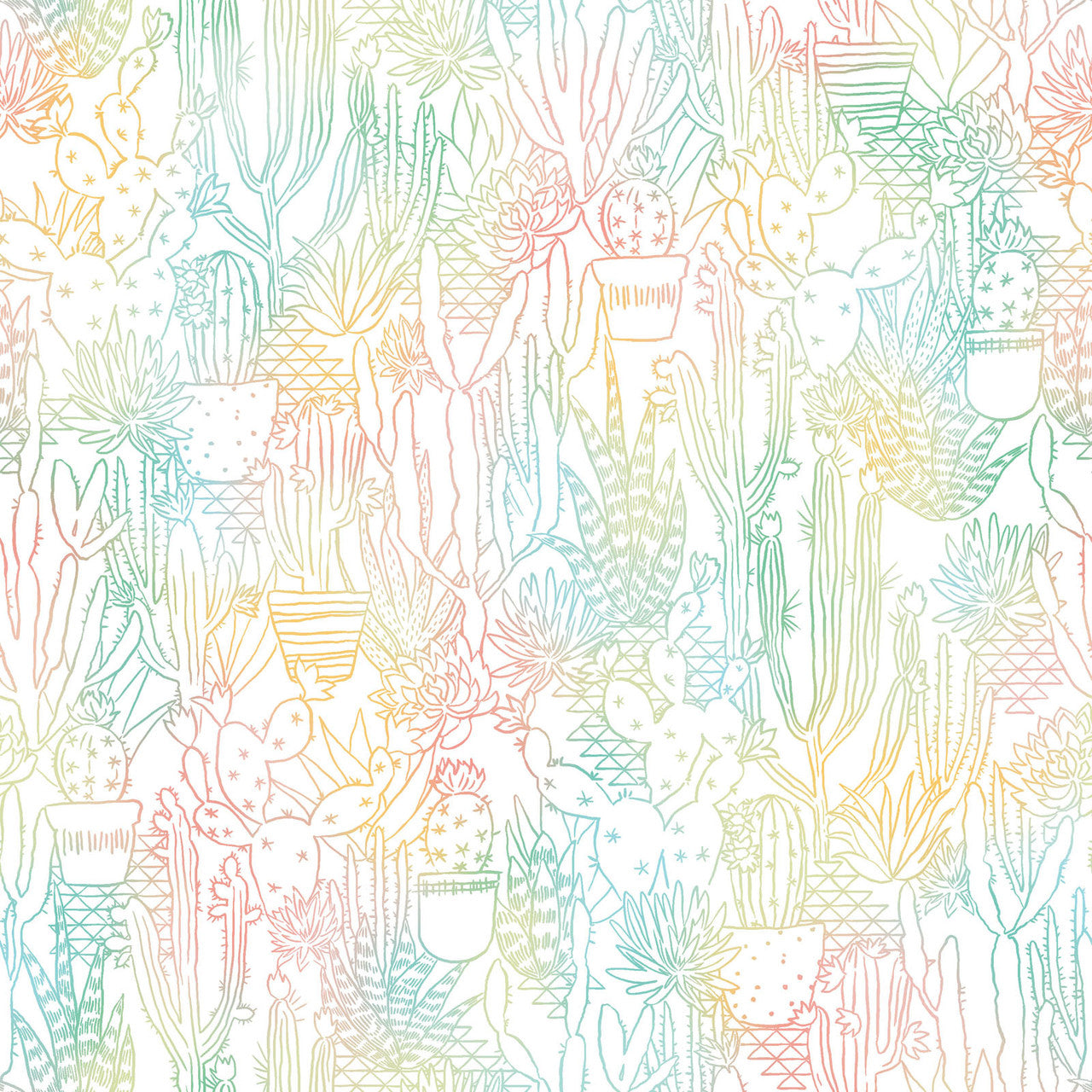 Desert Dreams - Cactus Glow - Multi
