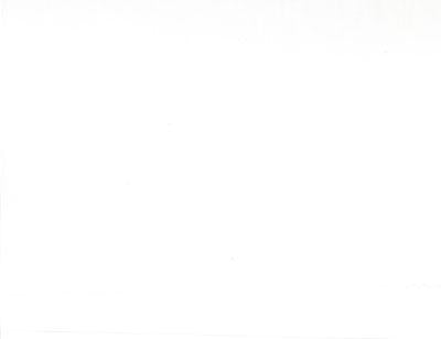 MDA - 200 Ct Muslin - 110"warm white