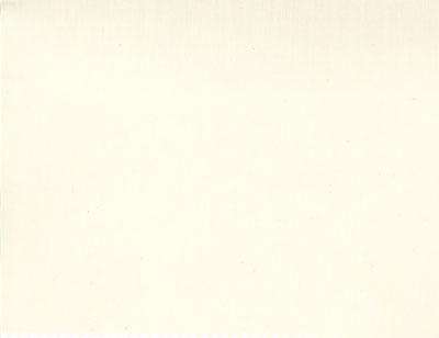 110" Wide Back - Moda Muslins-  Natural - 200 Ct. Muslin