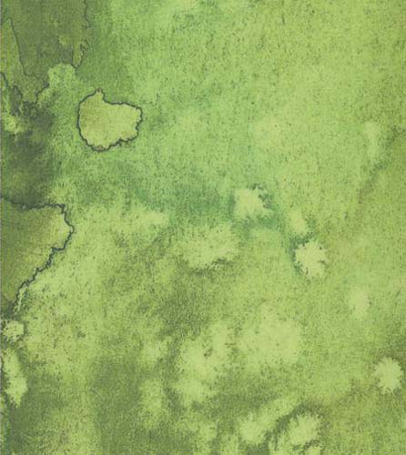 108" Wide Back - Flow - Fern -  green watercolor texture
