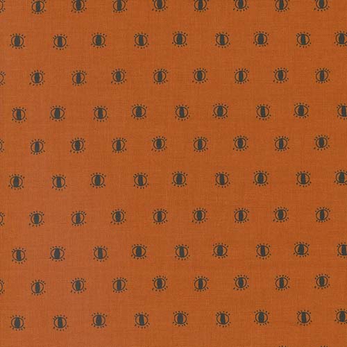 Noir - Watching Eyes - Pumpkin - rows of eyes on orange