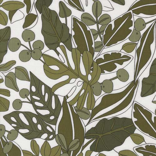 Botany - Greenery - Paper - green leaves on white