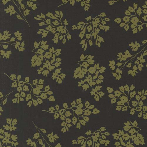 Botany - Seedlings - Ink - green seedlings on black