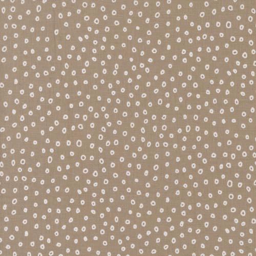 Botany - Seeds - Earth - white seeds on brown