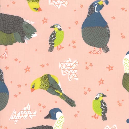 Pacific Wanderings - Birds - Coral