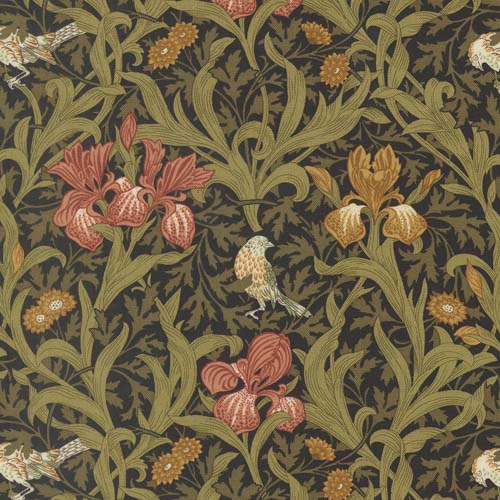 Morris Muse - Iris Florals - Ebony - Red & gold irises on black