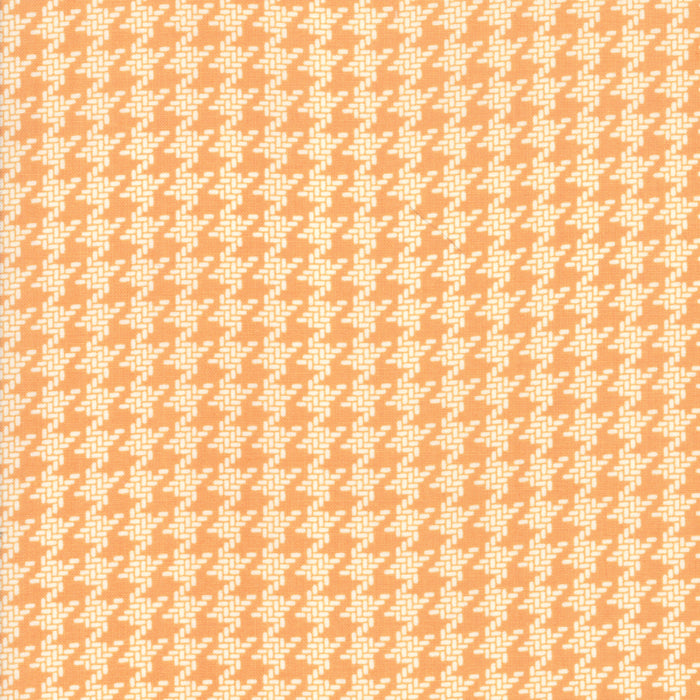 All Hallows Eve -  Pumpkin, houndstooth by fig tree co.