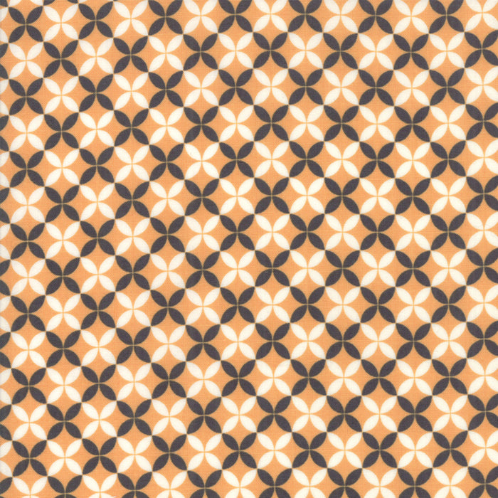All Hallows Eve -  Pumpkin, criss cross, orange by fig tree co.