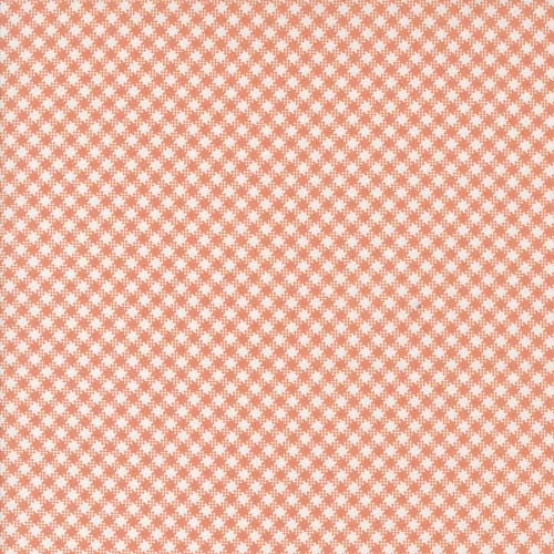 Jelly and Jam - Rhubarb- Peach - peach bias gingham check