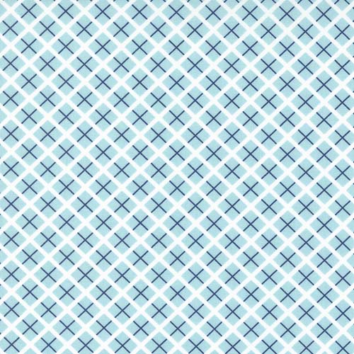 Berry Basket - Trellis - Raspberry - bias plaid of lt. blue,white & dk. blue