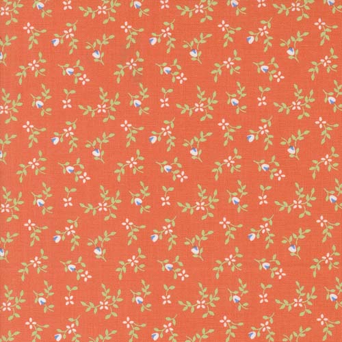 Cali Co - Vine and Bud - Melon- small white floral on orange - Corey Yoder
