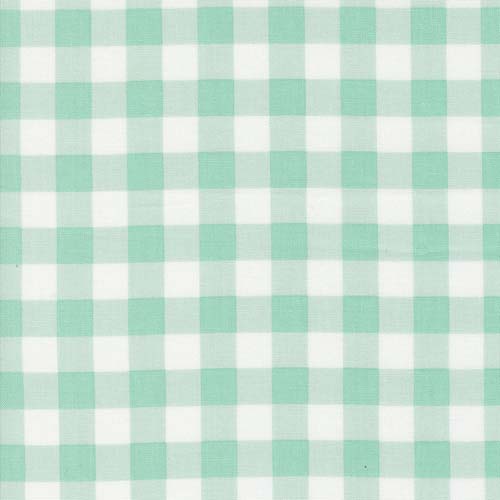 Coriander Colors - Checks - Aqua - 1/2 inch aqua check