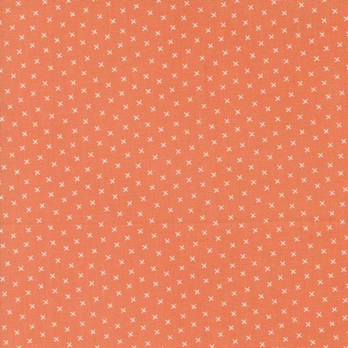 Coriander Colors - X's - Orange - tiny white x's on orange