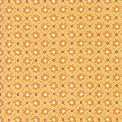 Sunday Brunch - Pastry - Mimosa - small floral check on orange
