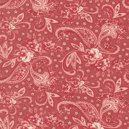 Petals and Polka Dots - Pretty Paisley - Tea Rose