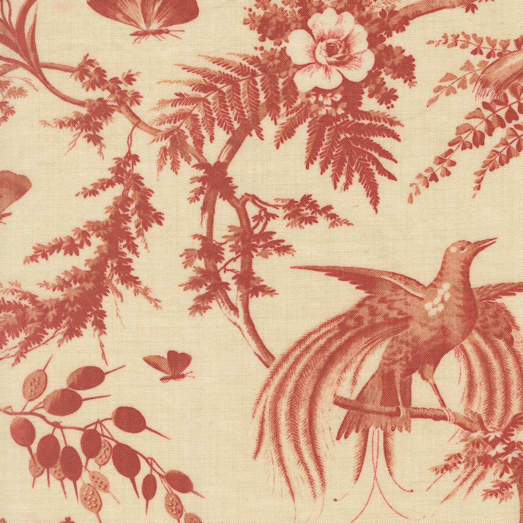Le Jardin Rouge - Margueritte Florals - Pearl