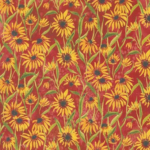 Floribunda - Blackeyed Suzie Q - Spice - watercolor blackeyed susans on red