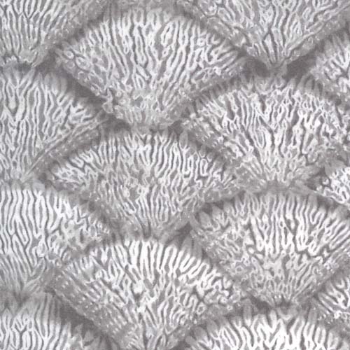Tochi Nami - White Fans on Kaishi Gray