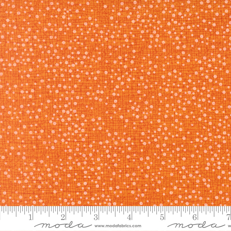 Coven - Dotty Thatched - Citrus