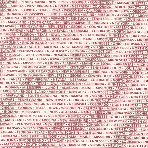 American Gatherings II - StarStripe Text - Dove Heather - rows of state names