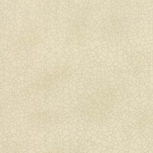 Crackle - Linen - crackle texture on cream by Kathy Schmitz