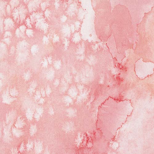 Chickadee - Flow - Blush - Pink watercolor texture