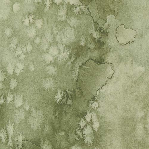 Desert Oasis - Flow Basics -Cypress - Green watercolor texture by Create Joy