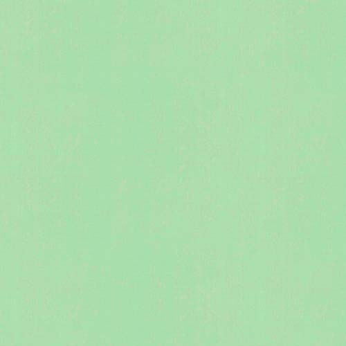 Bella Solids 2025 - Cool Mint - pale mint green - Elizabeth Hartman