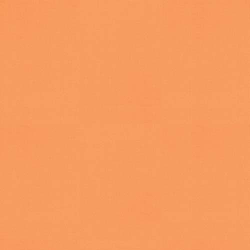 Bella Solids 2025 - Peach Fizz - peach - pale orange - Elizabeth Hartman
