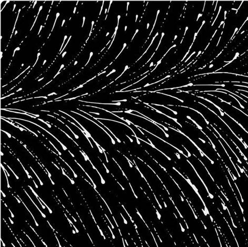 Dropping Seeds - Black - white seed sprays on black