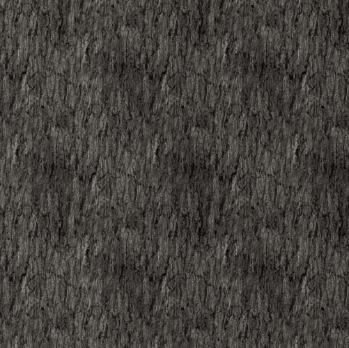Naturescapes-Light Black-Tree Bark Texture-When Eagles Soar by D.R. Laird